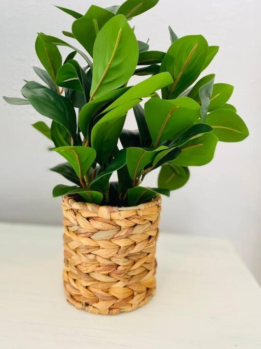Coral Gables / Coconut Grove Area Free Parking Apartamento