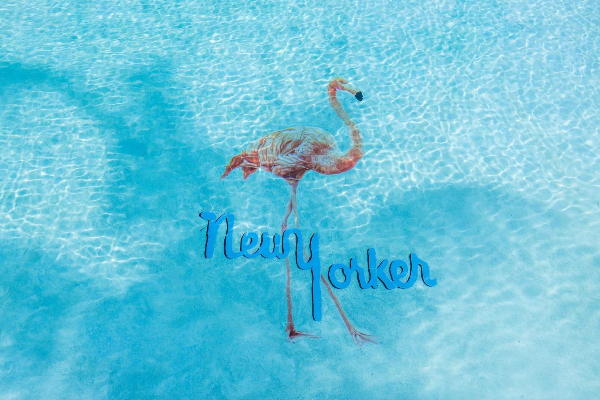 The New Yorker Miami