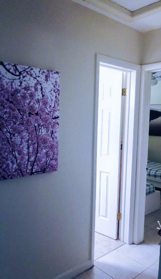 The Cherry Blossom House * Miami
