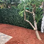 Miami-Airport Oasis Vip House