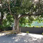 Private Suite W/ Full Backyard, Bbq, 5Min From Mia