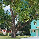 Wynwood\'S Urban Oasis