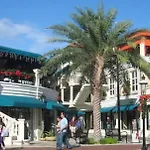 Coconut Grove Green Day\'S