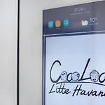 Coco Loco - Little Havana
