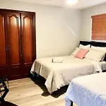 Super Close Beach, Airport, Port, Downtown, Wynwood
