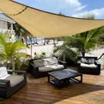 Tropical Oasis