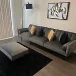 The Real Vibes In The Heart Of Miami
