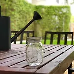 The Oasis