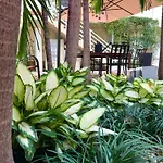 The Oasis