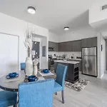 New Dawn Miami