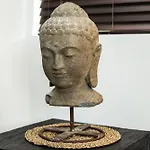Vive Zen Queen Room
