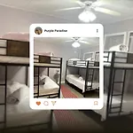 Purple Paradise Shared Room B2