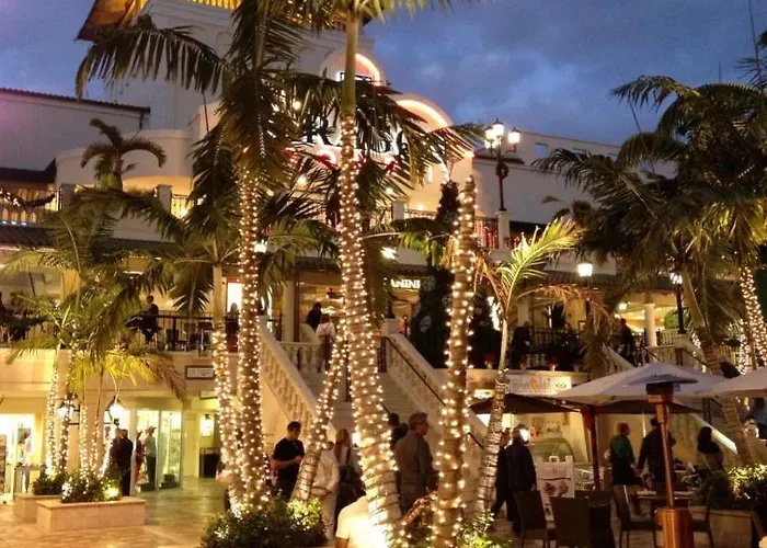 Coconut Grove Green Day\'S
