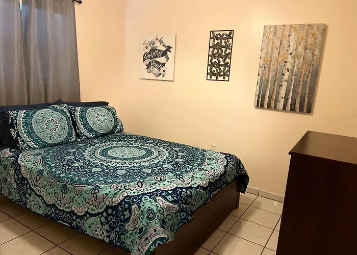 Our Cozy House In The Middle Of Miami