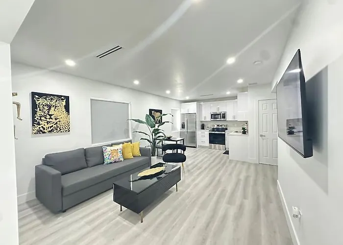 Modern House In The Heart Of Miami
