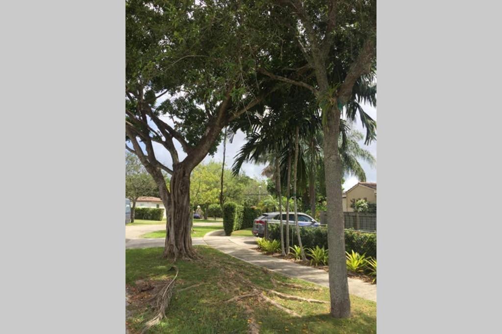 Beautiful Quiet Neighborhood