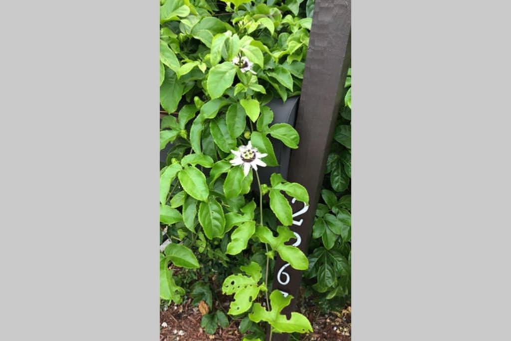 Chic And Comfortable Free Street Parking Apartment Miami