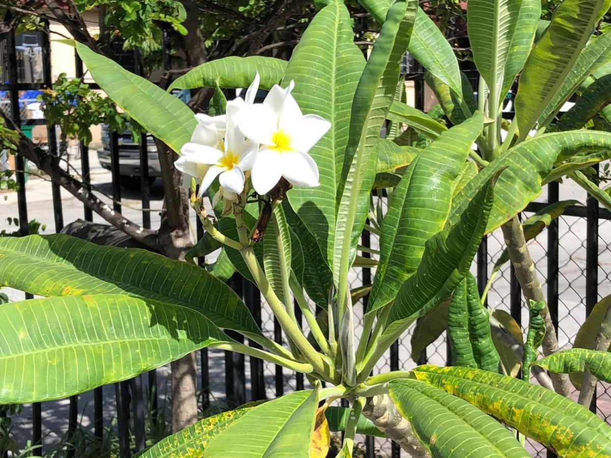 Private In The Heart Of Calle Ocho