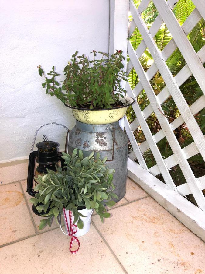 Independent In Little Havana Apartment *