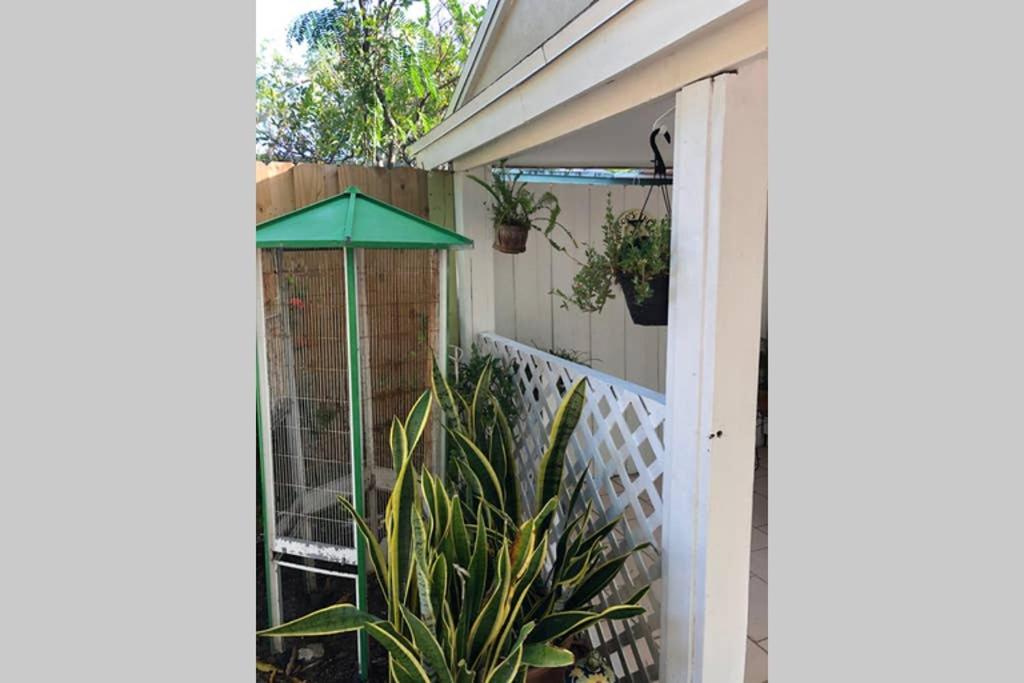 Apartment Independent In Little Havana *