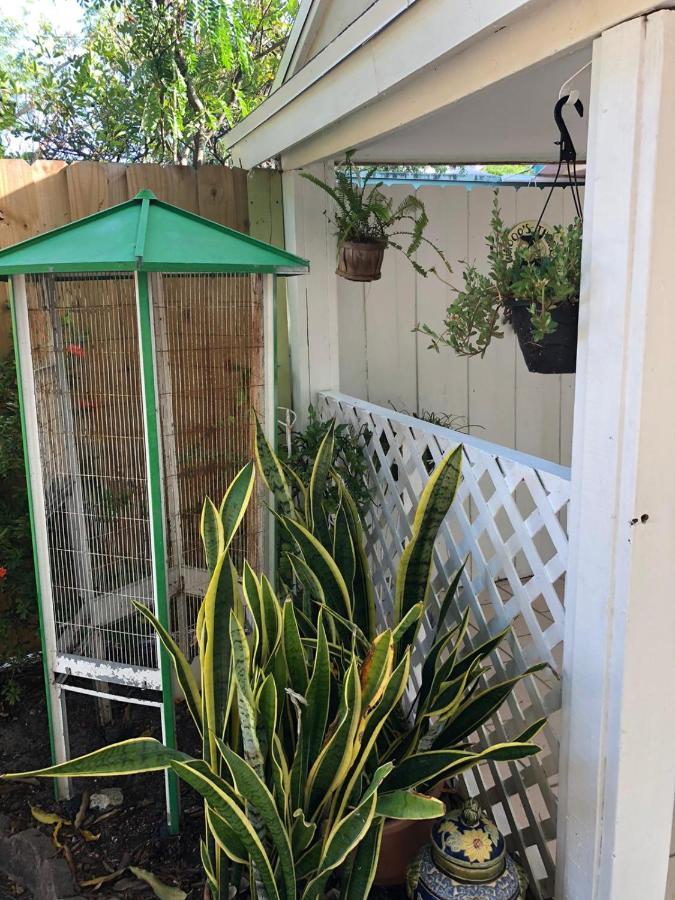 Apartment Independent In Little Havana