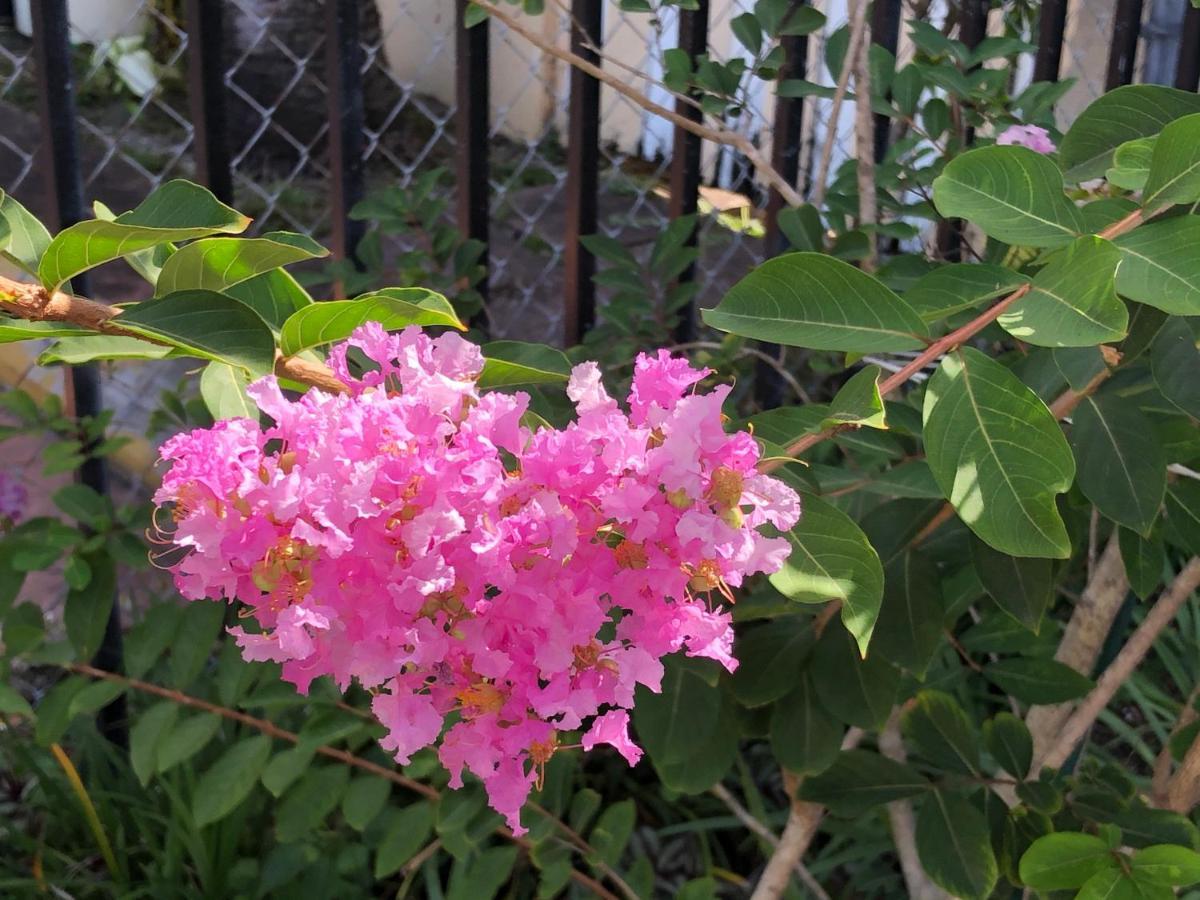 Homestay Private In The Heart Of Calle Ocho