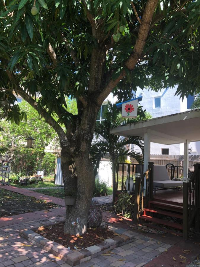 Homestay Private In The Heart Of Calle Ocho