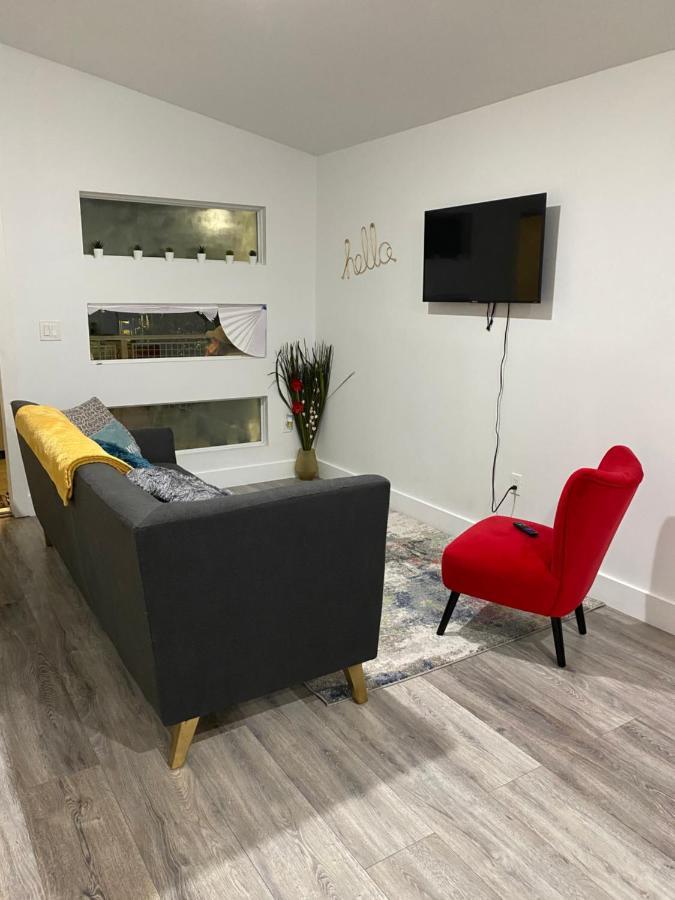 Apartment New Modern Cozy Apt Mins Away From South Beach And Wynwood Includes Free Parking