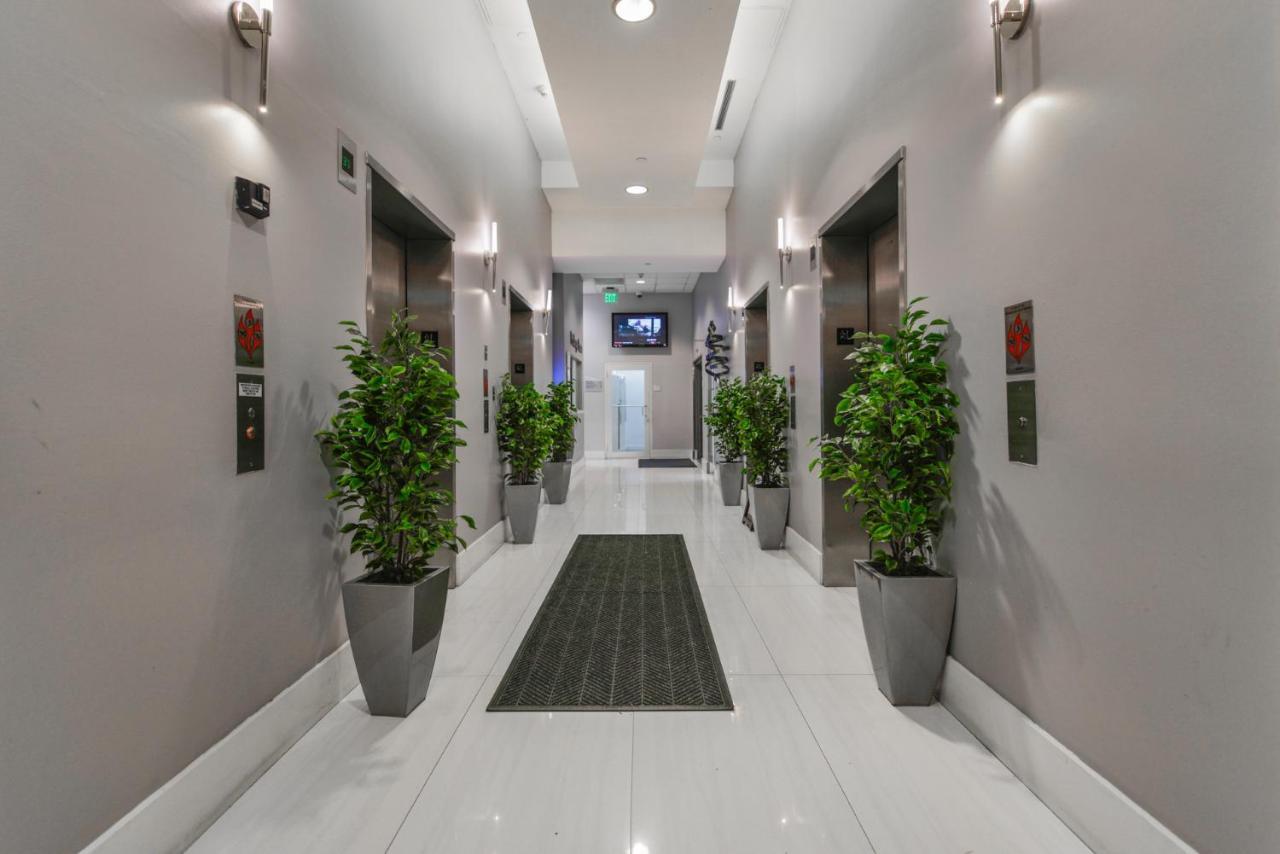 Amazing In The Heart Of Brickell *