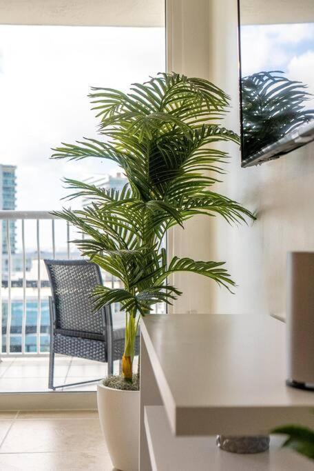Beautiful 3 Bedroom In Brickell Apartment