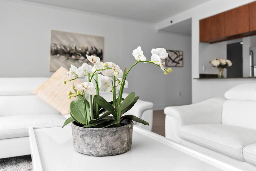 Modern 2/2 With Beautiful Ocean And Brickell Views *