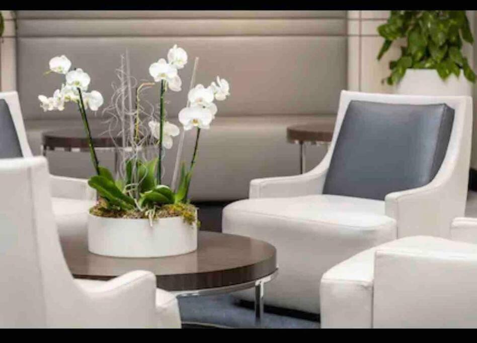 Luxury Breathtaking Oceanview Amazing Miami