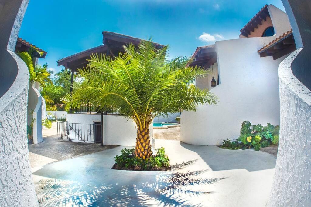 At St. Place “h”, Luxury, Pet Friendly