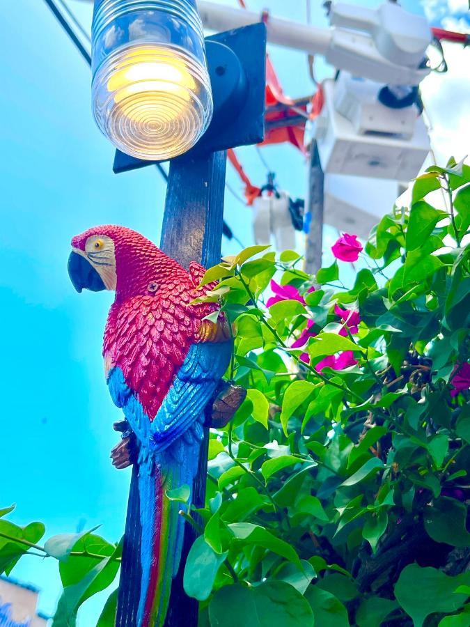 Centrica Calle 8 Hospedagem domiciliar Miami
