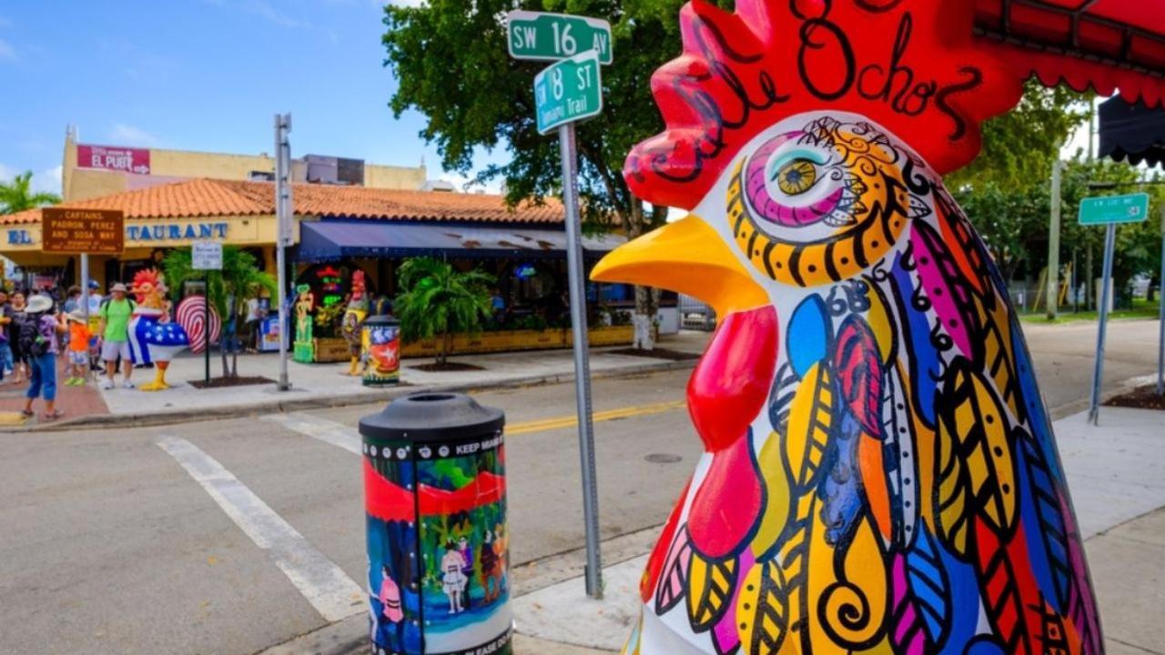 The Marlin Rooster *