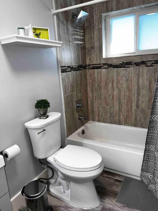 Beauty House In Palmetto Bay Fl Holiday home Miami