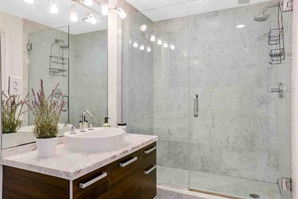 Apartment And Luxurious Living In Downtown Miami
