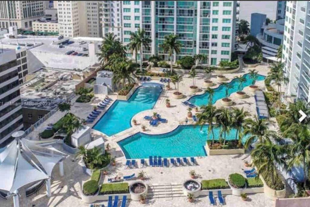 Apartment And Luxurious Living In Downtown Miami