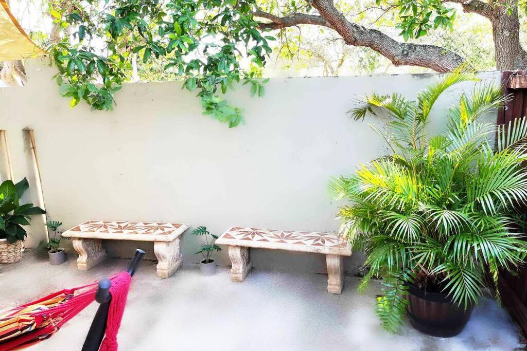 Amazing & Cozy Duplex Near Zoo ! *