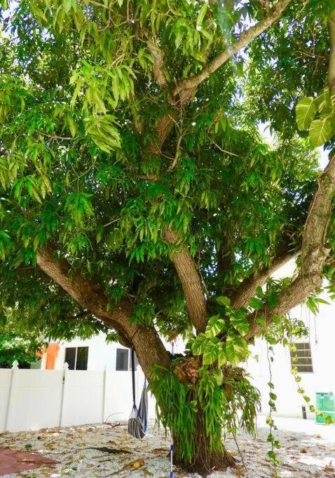 Apartamento Comfy & Updated Centrally Located Minutes Away From Everything! Miami