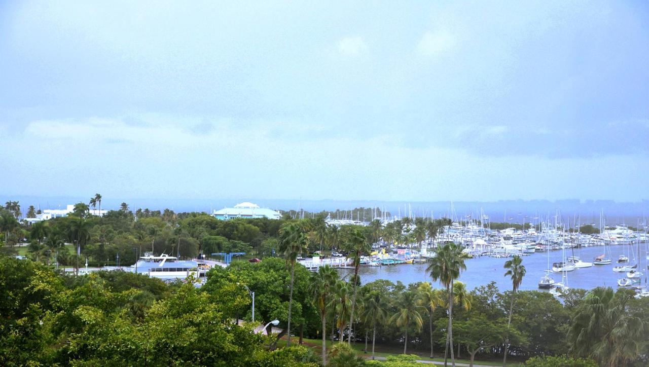 Relaxing In The Grove, Free Parking Apartment Miami