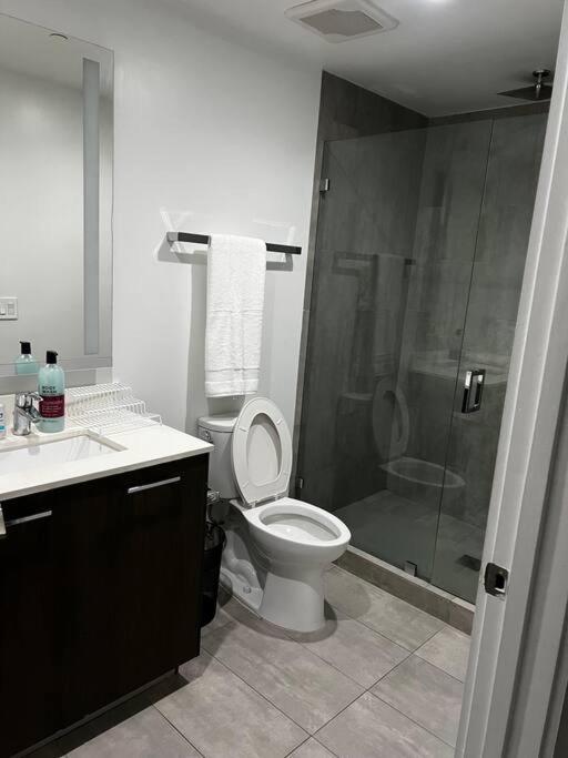 Spacious And Luxurious In Downtown Apartment Miami
