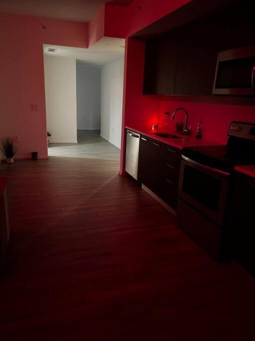 Spacious And Luxurious In Downtown