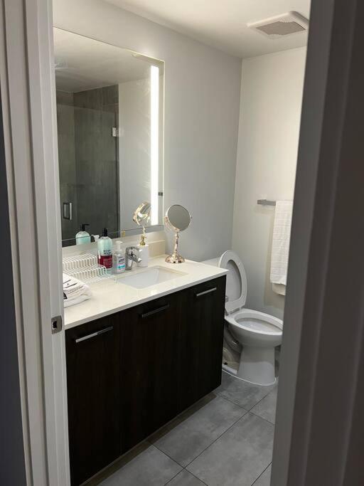 Spacious And Luxurious In Downtown Apartment *