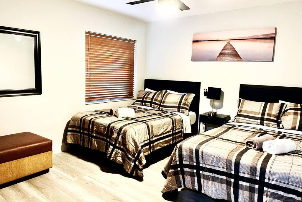 Super Close Beach, Airport, Port, Downtown, Wynwood