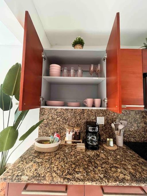Apartment Luxury Miami Home! Next To Miami Beach & Airport *