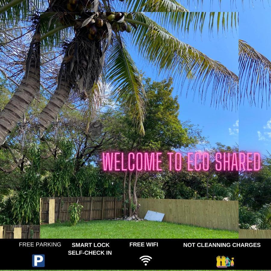 Eco Shared Paradise Miami