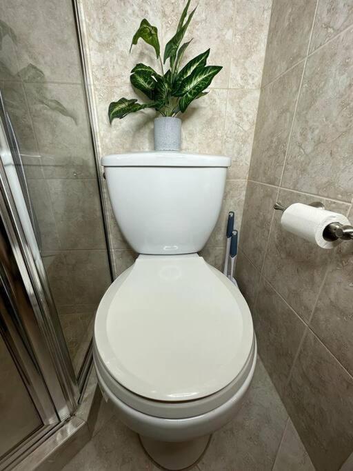 Sleeps 3, Casa Tropical In Miami