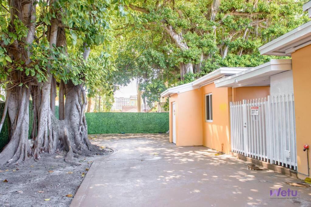 Apartment Hidden Gem Apt/near Downtown & Brickell Miami
