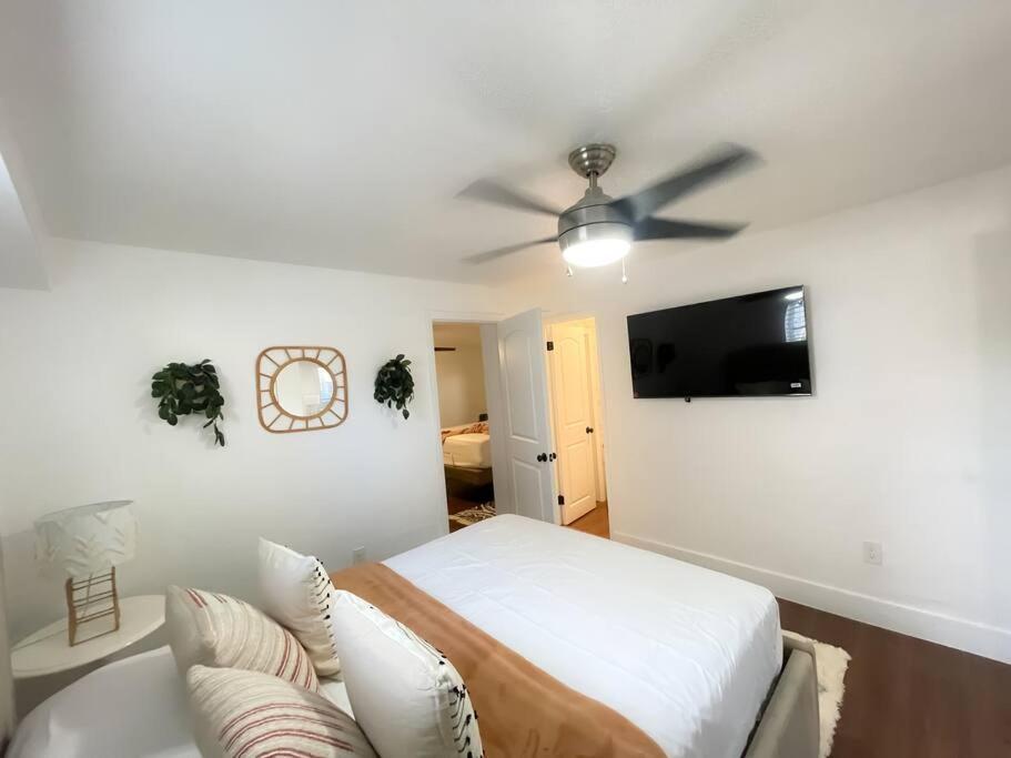 Apartment New Boutique, By Calle Ocho And South Beach!
